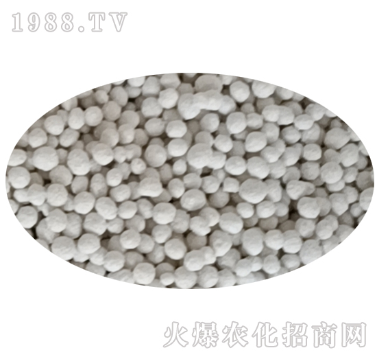 ���ʘ�Ʒ-�r(n��ng)�_(d��)����