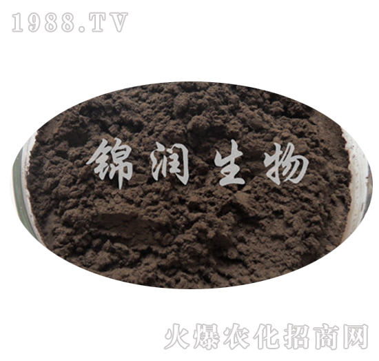 ����ù���ӷ�-�\������