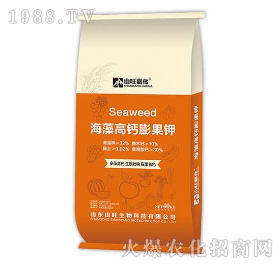 ������}����-ɽ������