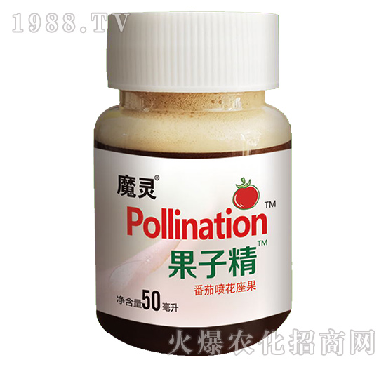 ���ч�������-���Ӿ�-ħ�`-��������