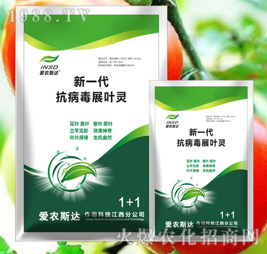 ��һ��������չ�~�`-��(��i)�r(n��ng)˹�_(d��)