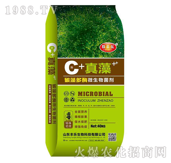 ̼���ø΢�������-���S��