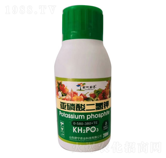 ����������-�挎