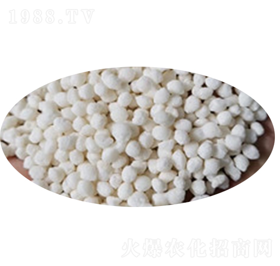 �D����ɒ��A�Ȼ��@�w��-�Rʩ