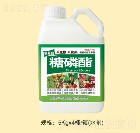 ������������-�fȪ�r(n��ng)��