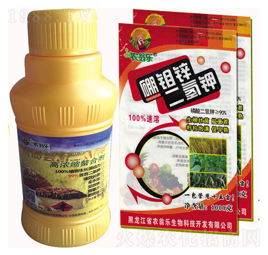 �|̦�����+���f�\�����-�r(n��ng)�̘�