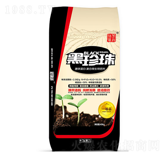 ���w���׏�(f��)��΢�������-������-�۝�(r��n)�ʘI(y��)