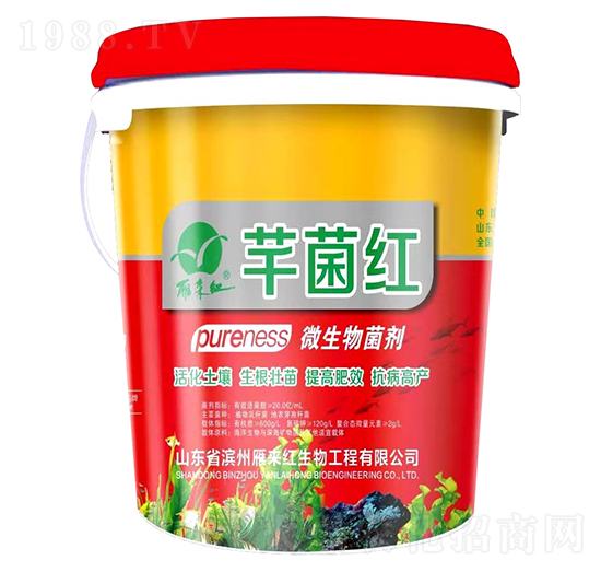 ΢�������-ܷ���t-����t