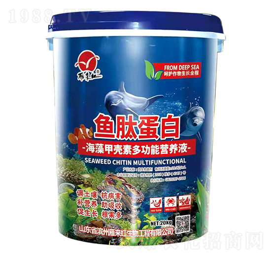 ����ך��ض๦�ܠI(y��ng)�B(y��ng)Һ-�~�ĵ���-���(l��i)�t