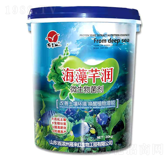 ΢�������-����ܷ��(r��n)-���(l��i)�t