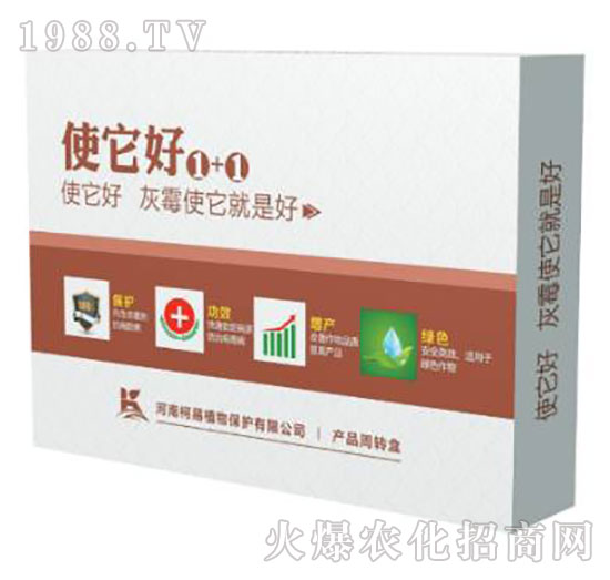 ʹ����1+1-����ֲ��