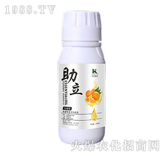 ����-����ֲ��