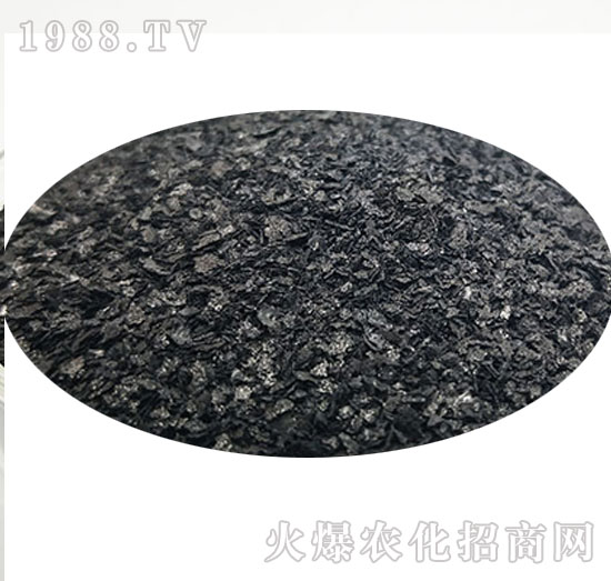 ���徫ԭ��-��ʥ����