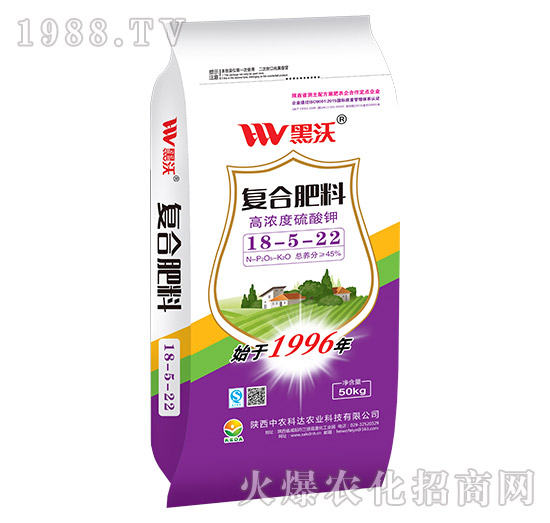 �ߝ������⛏ͺϷ���18-5-22-����-���r���_