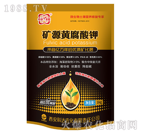 �VԴ�S�����-���r���_