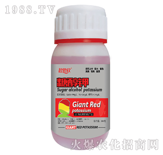 �Ǵ��-����