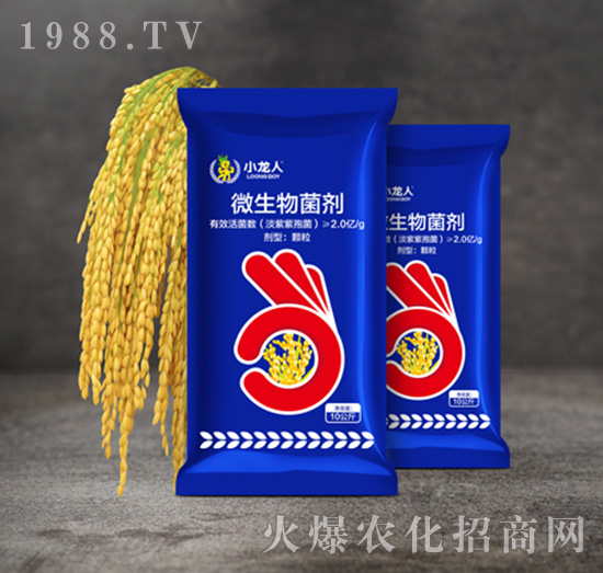 ˮ�����xˎ��-΢�������-С����