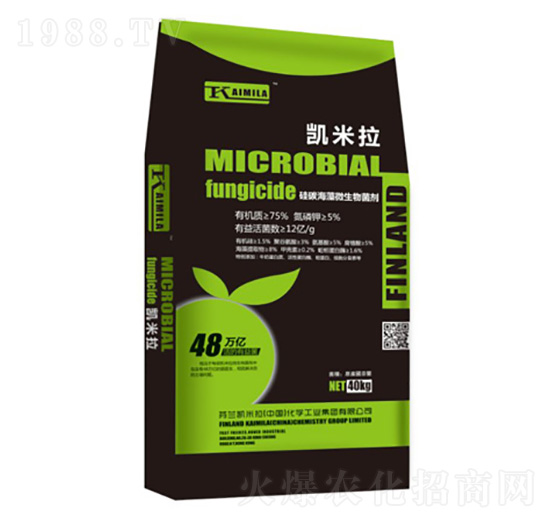 ����΢�������-�P����