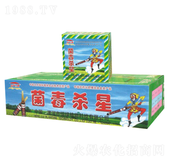 菌毒殺星-頂天立地-恒綠植物