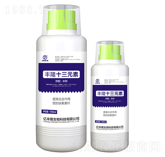 豐隆十三元素-億豐隆