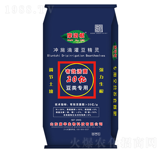 �_ʩ�ιඹ���`������ã�-Ħ���-���A����