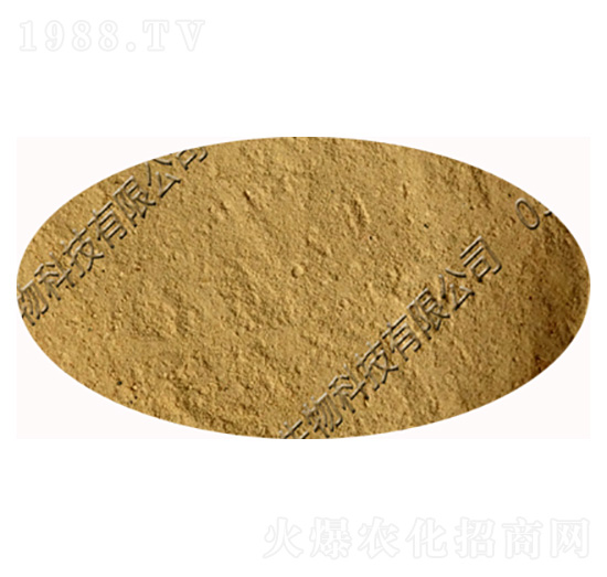 �޴�ѿ�ߗU��-�������