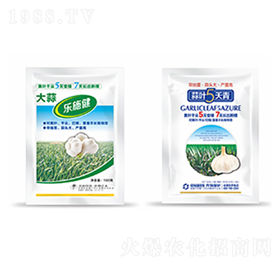 大蒜樂施健+蒜葉5天青-中?？萍? style=