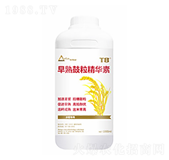 早熟鼓粒精華素-中?？萍? style=