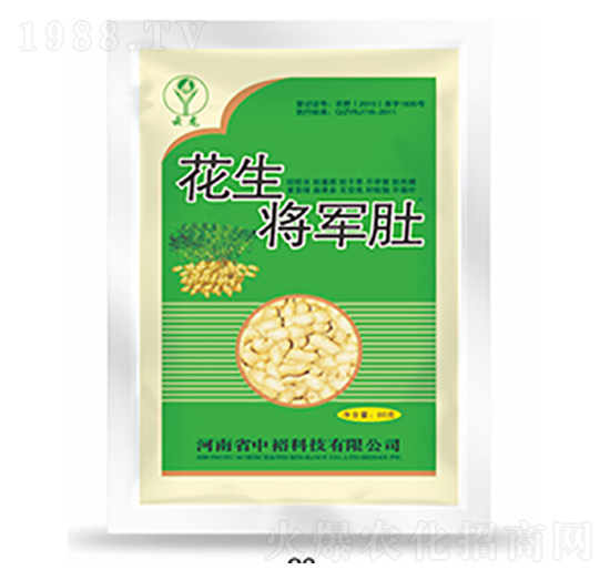 花生將軍肚-中?？萍? style=