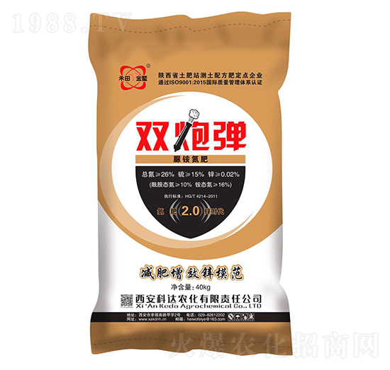 �尷����-�p�ڏ�-���_�r��