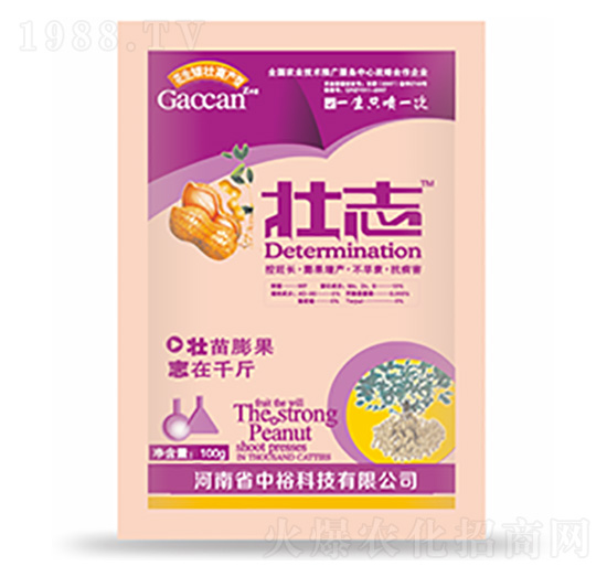 壯志-中?？萍? style=