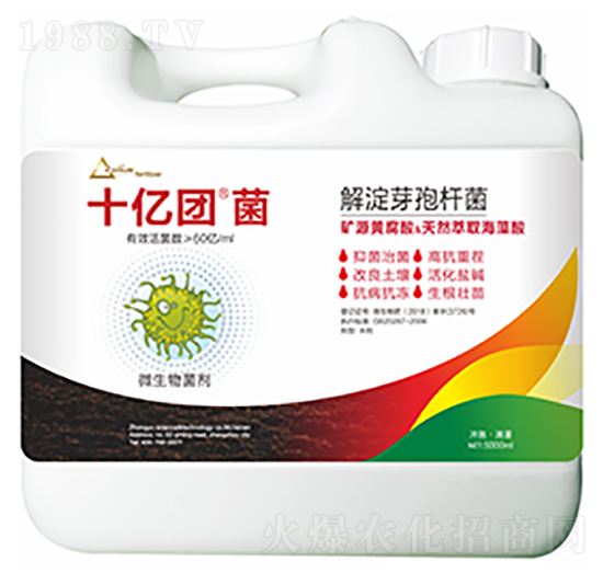 解淀芽孢桿菌-十億團菌-中?？萍? style=