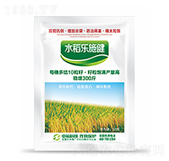 水稻樂施健-中?？萍? style=