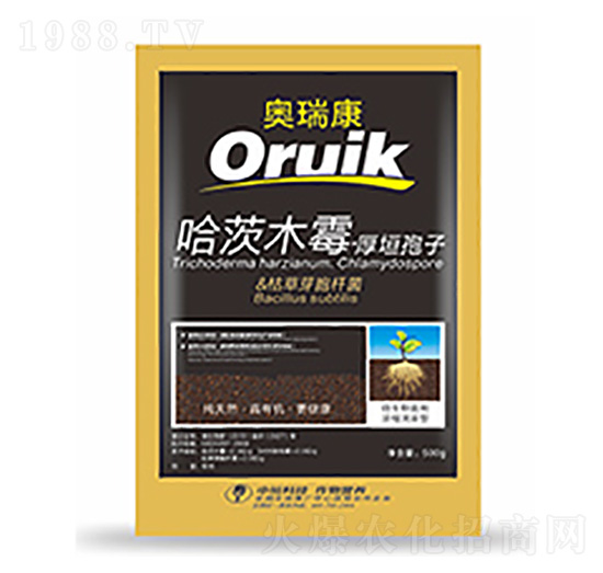 �W��-�����Ƽ�