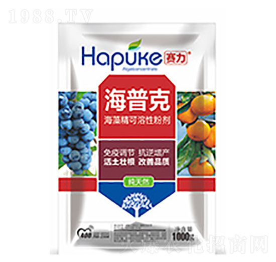 ِ�����տ�-�����Ƽ�