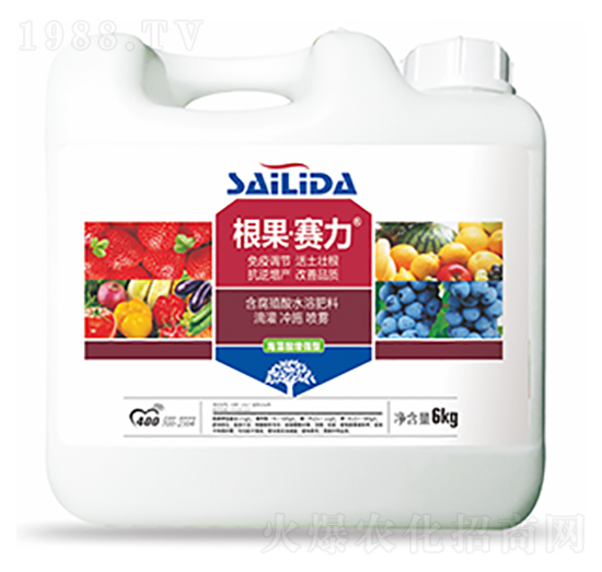 ����ِ��-�����Ƽ�