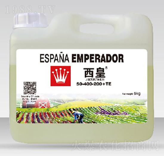 ����Ԫ�����w��50-400-200-����-����˹�D