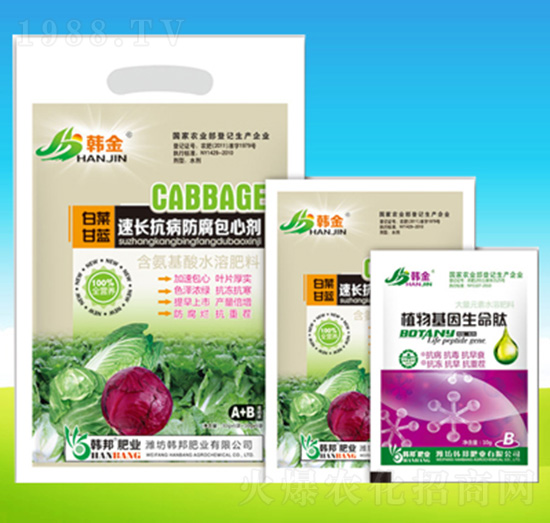 白菜甘藍(lán)速長抗病防腐包心劑-韓邦肥業(yè)