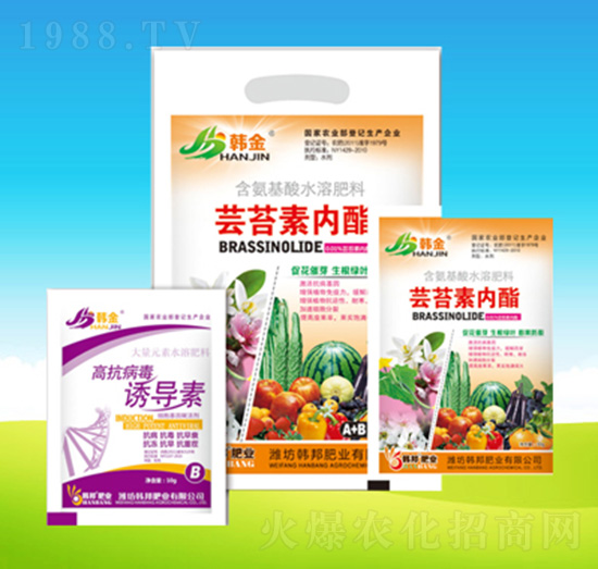 �|̦�؃�(n��i)֬-�n��-�n��ʘI(y��)