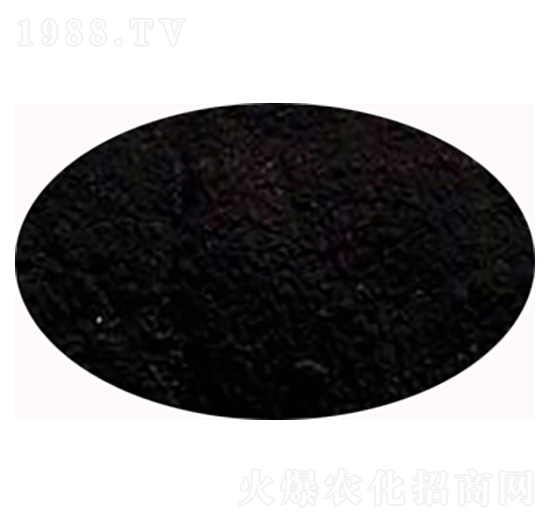 ��ֲ���c-ʥ��һ��