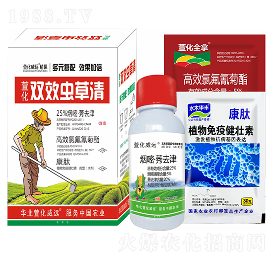 �pЧ�x(ch��ng)����-�滯���h(yu��n)