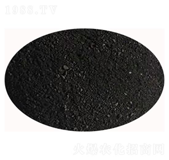 ��ֲ���-ʥ��һ��