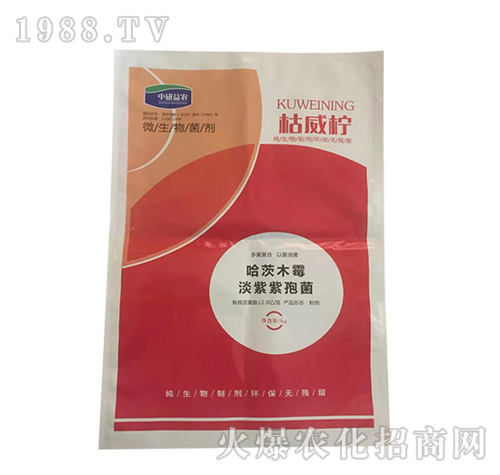 �������߾�������ľù-�������r