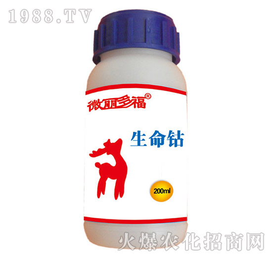 �����-΢���ร