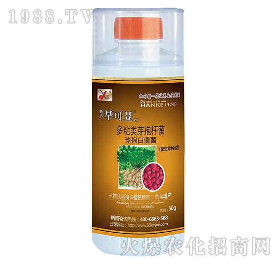 �����S1̖(h��o)��������N����-꿾�