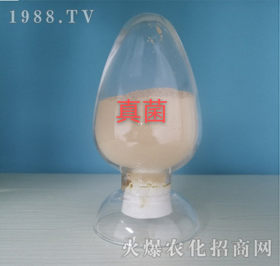 �����(zhu��n)��ԭ��-���o��(c��)�r(n��ng)�I(y��)