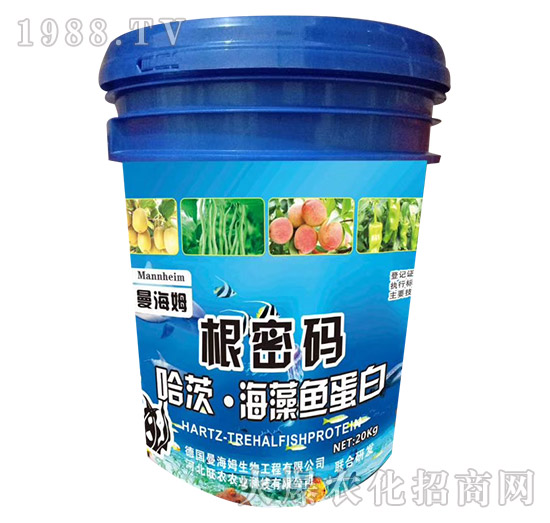 ���ġ������~����-���ܴa-���r(n��ng)