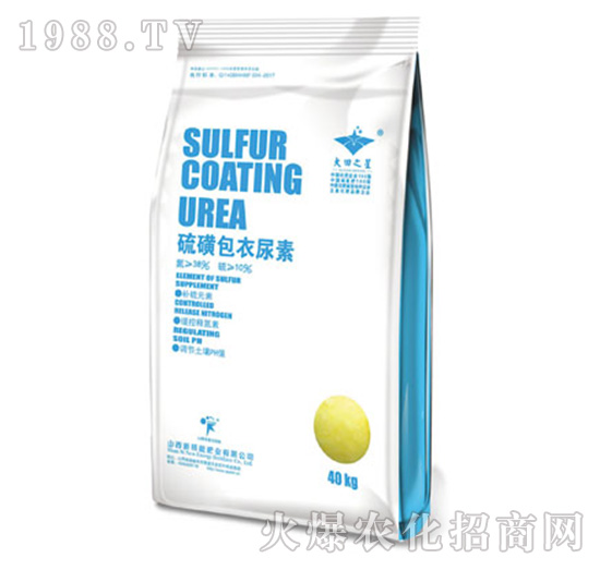 ��ǰ�������-�º���