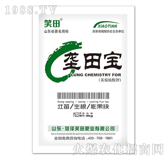 ���-Ц��