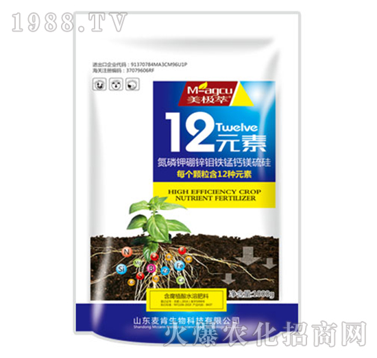 12Ԫ��-��������